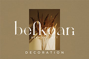 Fragier unique ligature serif font, a Serif Font by suhadidesign (Thumbnail 4 of 14)