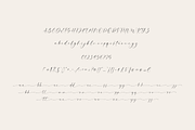 Aftershine Elegant Calligraphy Font, a Script Font by Pen Culture (Thumbnail 8 of 9)