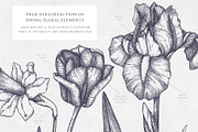 Hand Drawn Spring Flowers Set, a Seasonal Illustration by Yevheniia (Thumbnail 2 of 16)