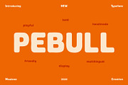 Pebull Playful Rounded Display Font, a Sans Serif Font by Maulana Creative (Thumbnail 1 of 7)