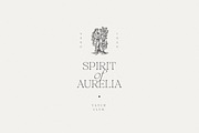 Aurelius - Feminine Chic Serif, a Serif Font by Harmonais Visual (Thumbnail 3 of 35)
