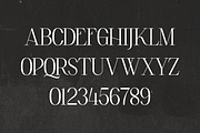 Elara - elegant serif font, a Serif Font by Only Fonts (Thumbnail 8 of 10)