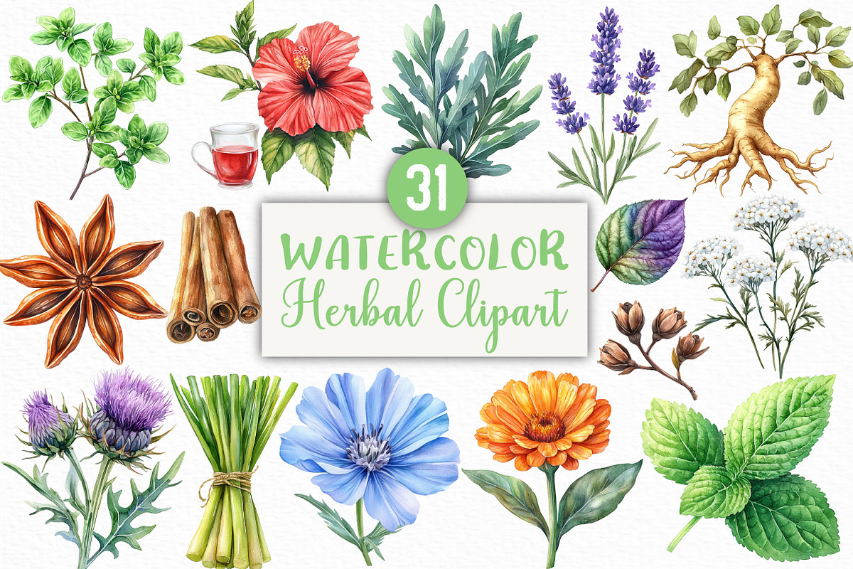 Watercolor Herbal Clipart Bundle, an Illustration by Craft Nest (Photo 1 of 6)