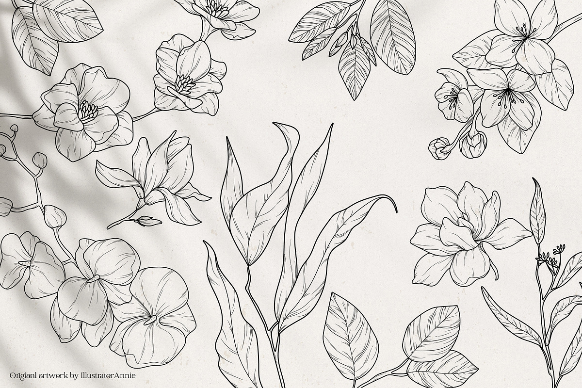 Floral Garden - Floral Line Art, an Illustration by IllustratorAnnie (Photo 6 of 10)