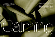 Eyana | Elegant serif, a Serif Font by ClevUs (Thumbnail 12 of 12)