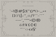 Bullhawk for Logo & Vintage Branding, a Serif Font by ilhamtaro (Thumbnail 17 of 19)
