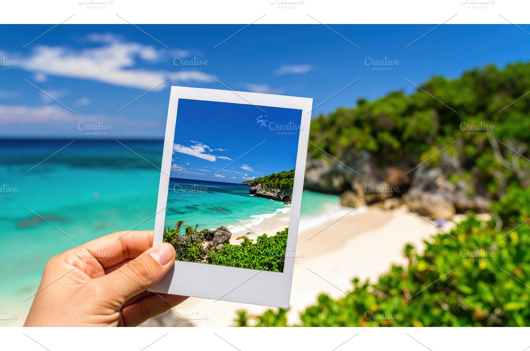 A hand holding a photo of a tropical, a Nature Photo by Igor Tichonow