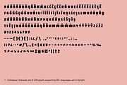 Turbohaus, a Sans Serif Font by Nameless Type Foundry (Thumbnail 4 of 10)