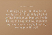 Maglite - Modern Ligature Serif, a Serif Font by Sarid Ezra (Thumbnail 7 of 13)