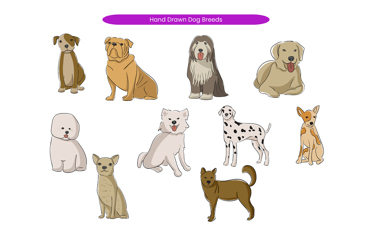 Hand Drawn Dog Breeds, an Animal Illustration by Creathub Studio (Photo 2 of 3)