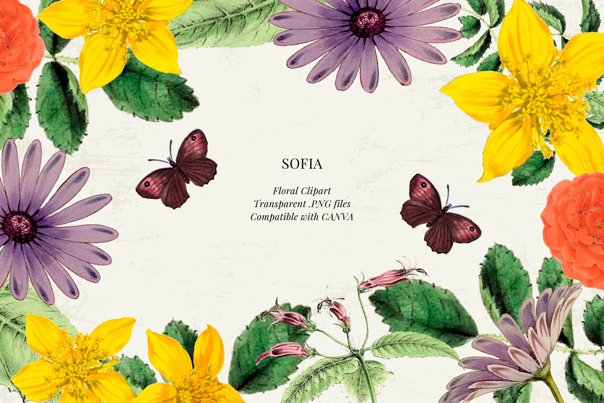 Antique flowers illustrations, an Illustration by AS Studio (Photo 1 of 8)