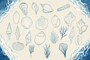 Seashells + Driftwood Procreate Set, a Brush Add-On by PrettyLittlePigs (Thumbnail 5 of 10)