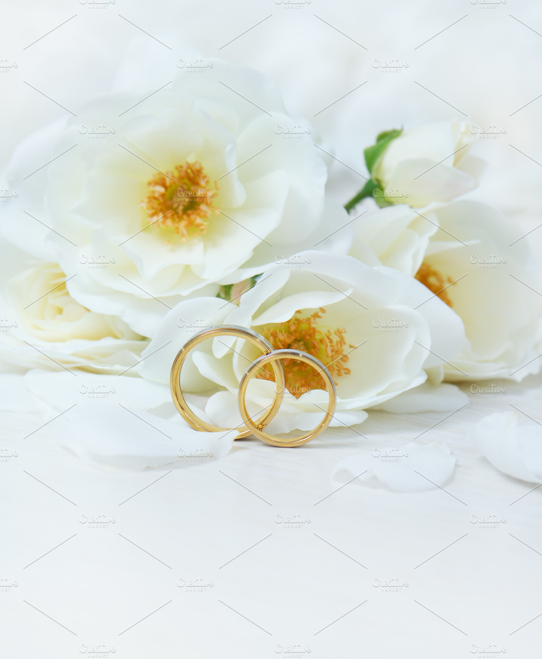 Wedding rings & white roses containing rose, wedding, and white, a Holiday Photo by Lenka_X