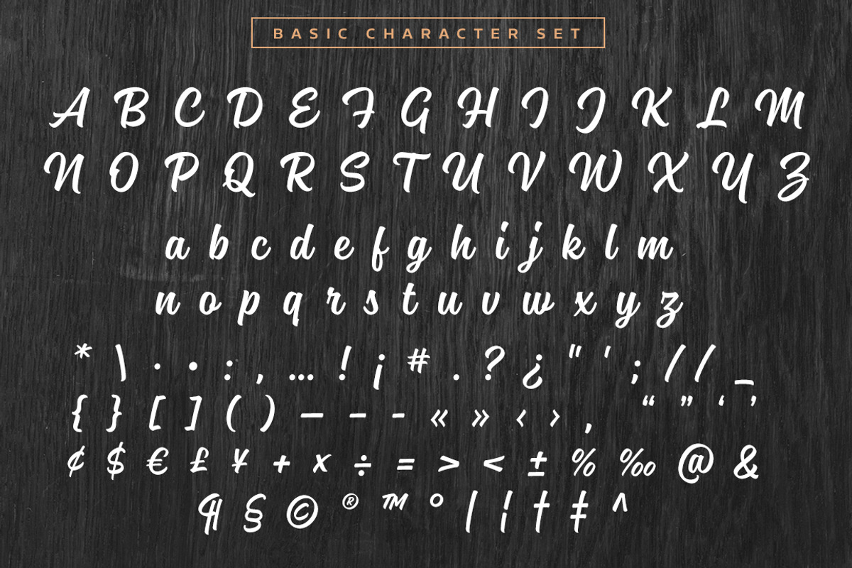 Magneton Light Slanted, a Script Font by Mika Melvas (Photo 11 of 13)
