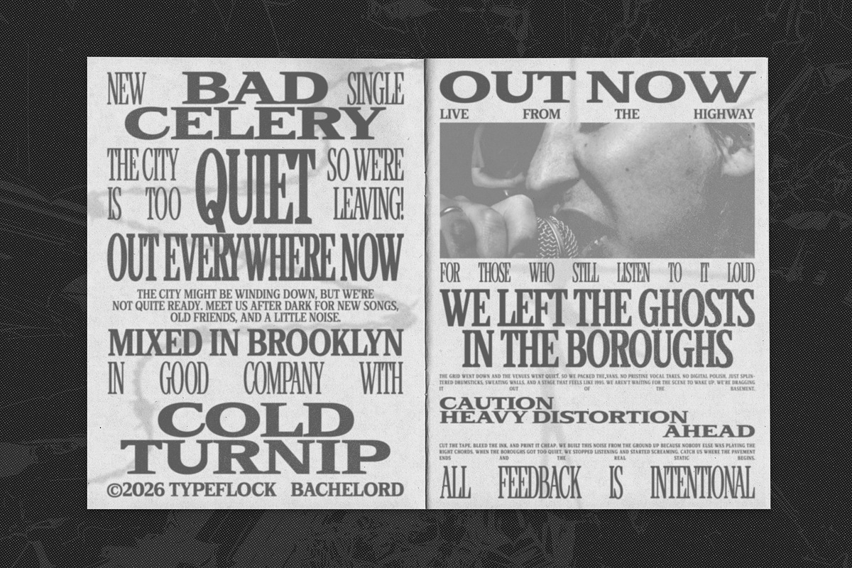 TFC Bachelord - High Contrast Font, a Sans Serif Font by Type Flock (Photo 7 of 15)