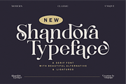 Shandora a Modern Serif Font, a Serif Font by Vilogsign (Thumbnail 15 of 15)