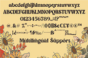 American Dream | Modern Serif Font, a Serif Font by MchCrafter (Thumbnail 11 of 14)