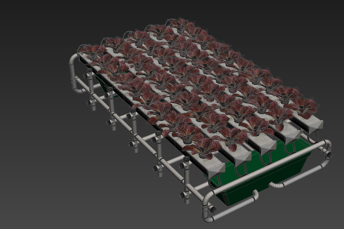 Hydroponics system LG, an Environmental 3D Model by AndrewWhite (Photo 4 of 17)