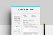 Resume, a Resume Template by paulresume (Thumbnail 1 of 3)