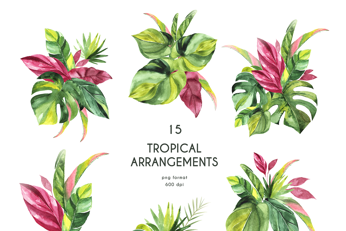Tropical Foliage Watercolor set, a Decorative Illustration by Liliia Polos Illustration (Photo 3 of 14)