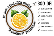 Watercolor Flavorful Lemon Clipart, an Illustration by Craft Nest (Thumbnail 2 of 5)