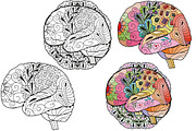 Decorative skulls and brains, a Graphic by Watercolor fantasy (Thumbnail 7 of 9)