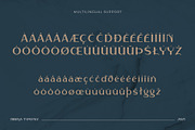 Rifieka // Modern Display Typeface, a Sans Serif Font by Letterature Std. (Thumbnail 9 of 10)