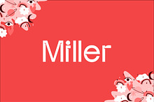 Miller Display
