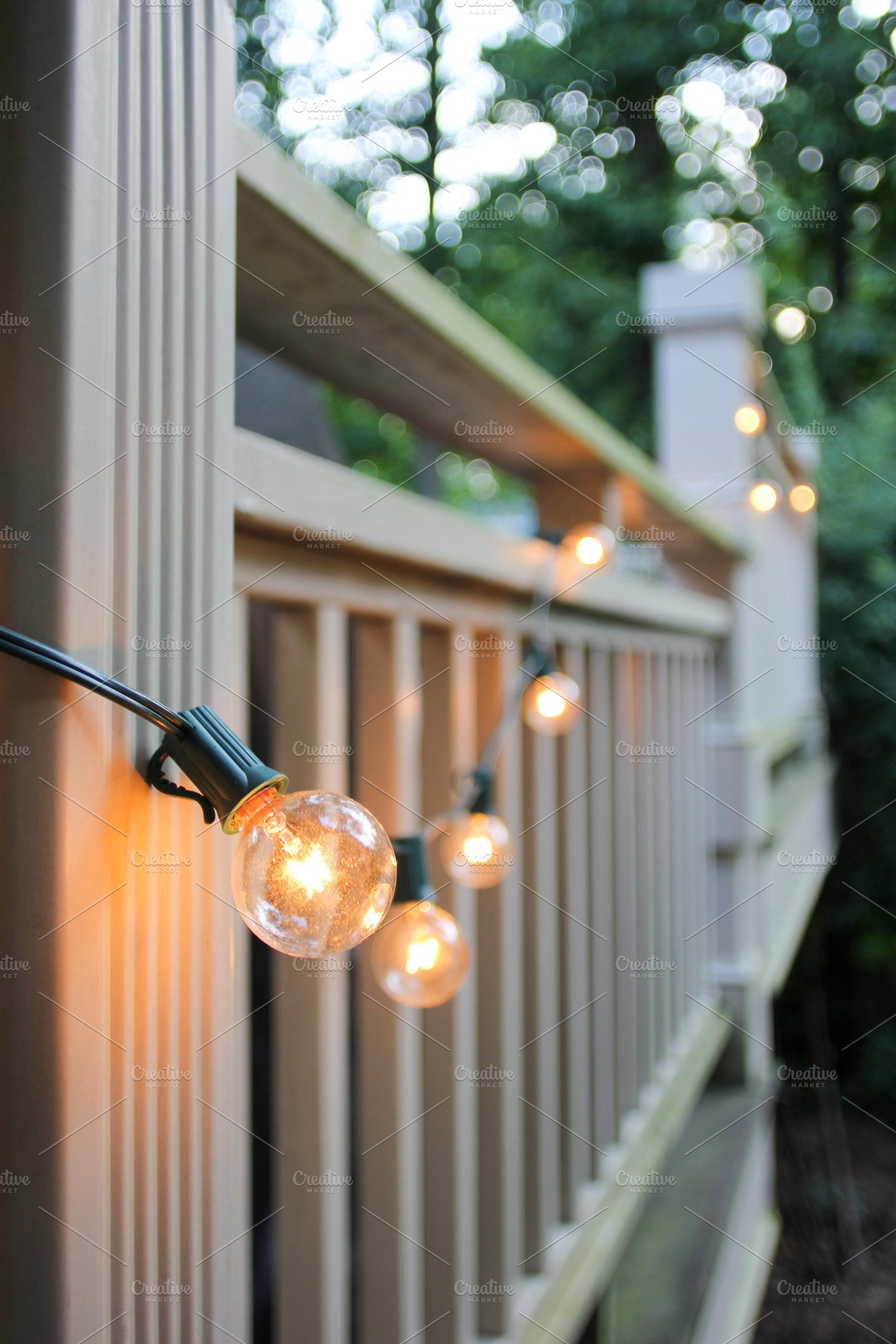String Lights, a Holiday Photo by Marsha Abrahams