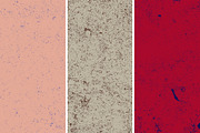 GSTC - Stone bench textures, a Texture Graphic by The Shop (Thumbnail 57 of 80)