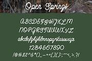 Open Springs - Font Trio, a Script Font by The Forge Type Co (Thumbnail 7 of 16)