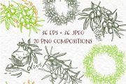Olive branches vector illustration, a Food Illustration by Ann Astro (Thumbnail 4 of 7)