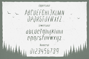 Mystic Forest - Distressed Font