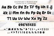 Channel Youtube, a Script Font by FreshTypeINK (Thumbnail 4 of 7)