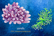 Watercolor kit - Under the Sea, an Animal Illustration by Elegantia (Thumbnail 3 of 12)