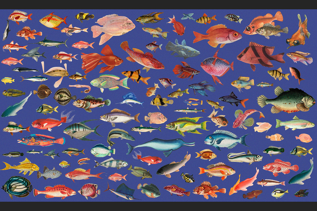 Sea World Vintage Illustrations, an Object Graphic by Lilithcollageart (Photo 3 of 7)