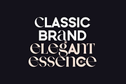 Neat Type - elegant fusion font, a Serif Font by VP Fonts (Thumbnail 7 of 13)