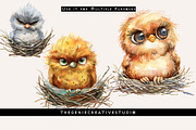 Grumpy Bird in Nest PNG Clipart, an Animal Illustration by Geniecreativestudio (Thumbnail 6 of 9)