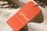 Hottest Springs Typeface, a Script Font by Letter Fresh (Thumbnail 8 of 12)