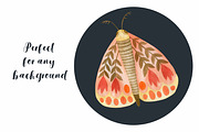 Watercolor Boho rainbow & butterfly, a Decorative Illustration by Kira Konoshenko (Thumbnail 3 of 16)