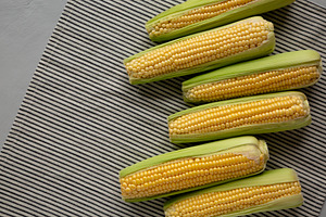 Fresh Raw Organic Corn on the Cob in the Husk, top view. Copy sp, a Food & Drink Photo by LiudmylaChuhunova