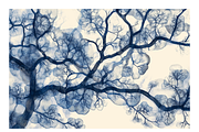 Bimo Co. 3 · Blue Organic Textures, a Texture Illustration by milatovar (Thumbnail 14 of 24)