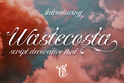 Wastecosta, a Script Font by LetterStock (Thumbnail 1 of 7)