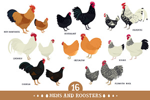 Hens and Roosters