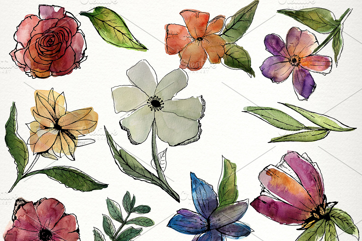 Modern Florals Watercolor clipart, an Illustration by SandraGraphicDesign (Photo 3 of 4)