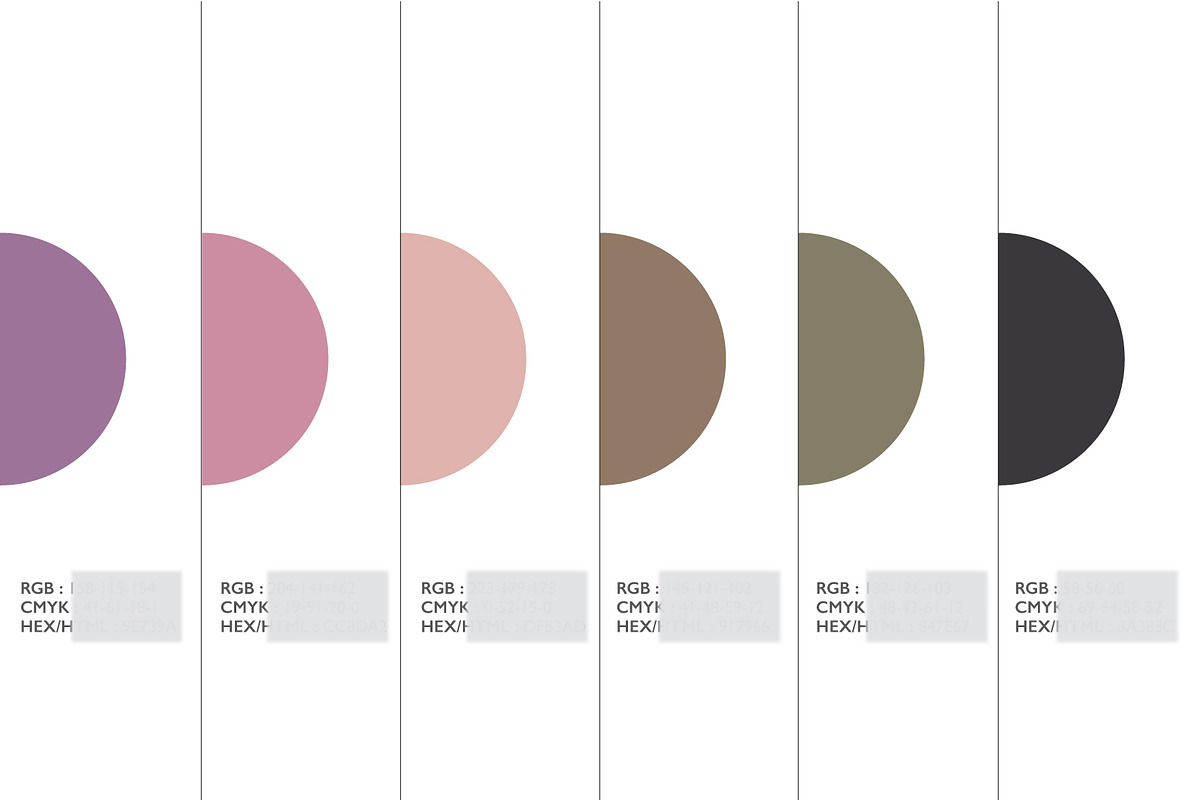 Color Palette + 12 Instagram icons, a Solid Icon by Akwadesign (Photo 5 of 5)