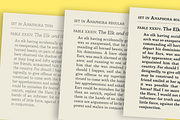 Anaphora - 22 Fonts, a Serif Font by Zetafonts (Thumbnail 8 of 11)