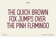 Flamingo Display Font, a Sans Serif Font by bryrude (Thumbnail 3 of 4)