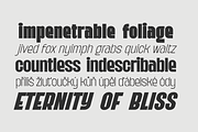 Kaligane, a Sans Serif Font by ArimaType (Thumbnail 8 of 10)