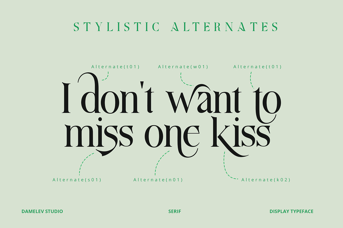 Aquifer, a Serif Font by Damelev (Photo 13 of 15)
